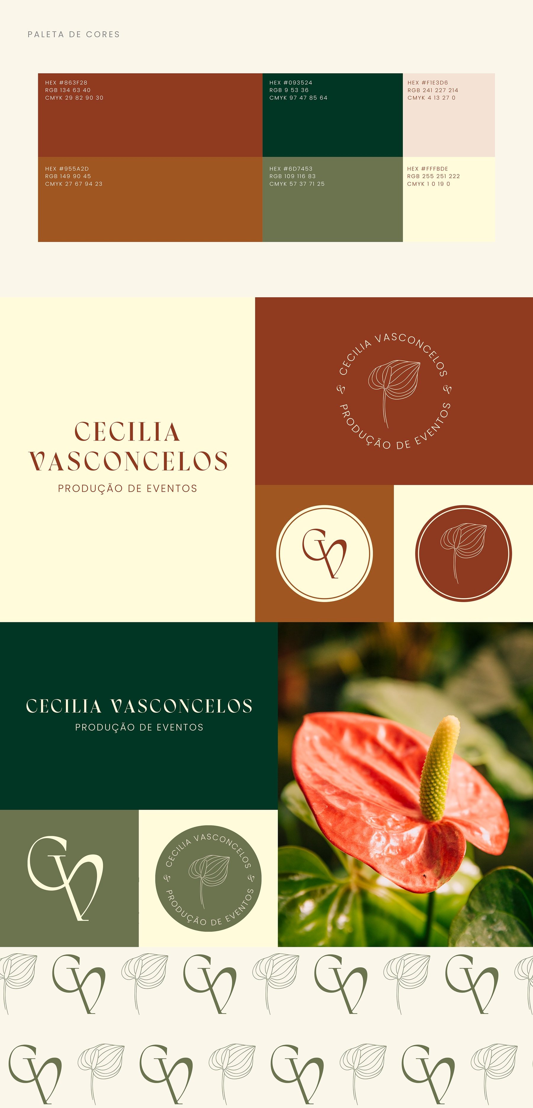 Cecilia Vasconcelos Rebranding