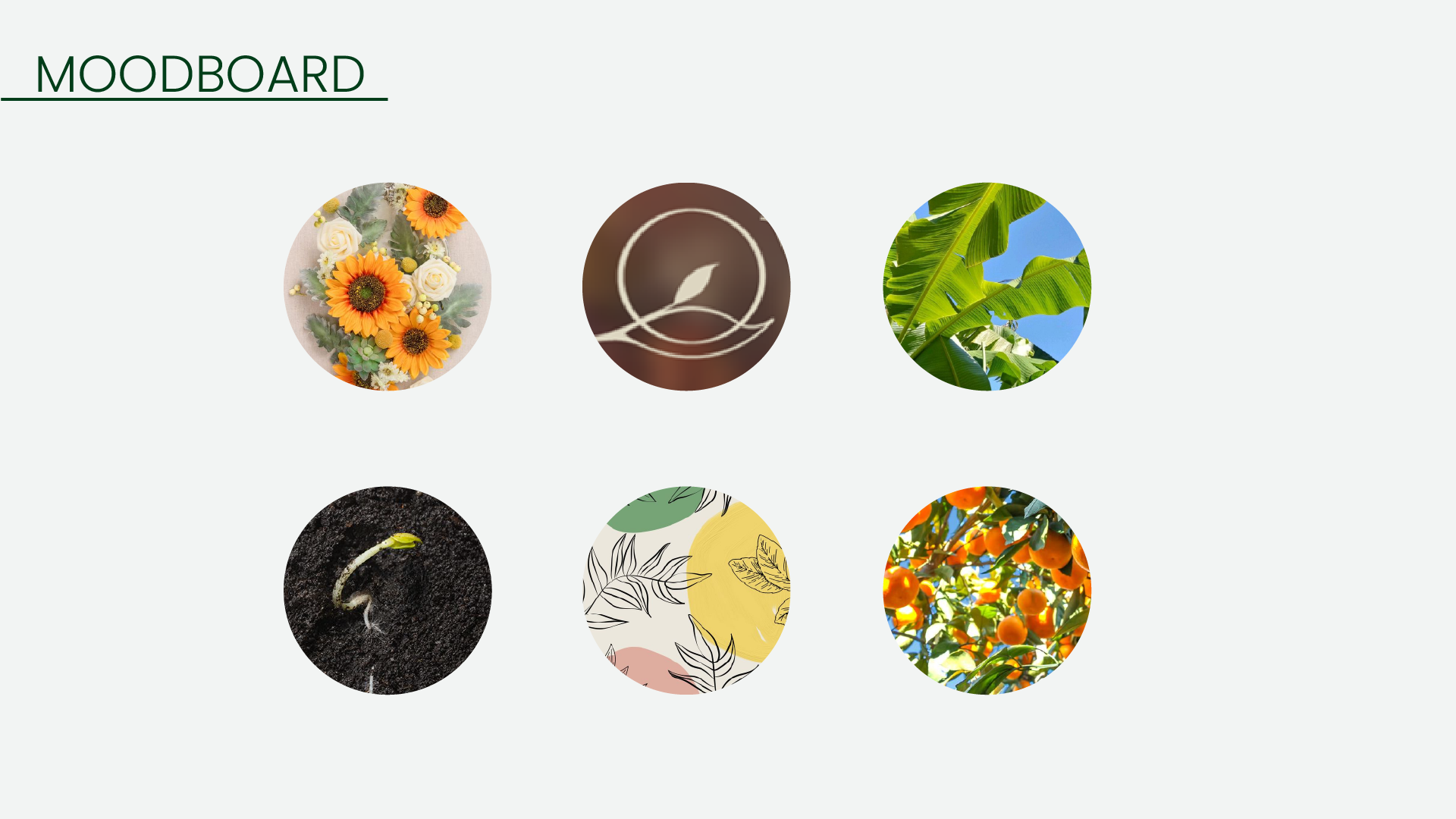 Frutōs Identidade Visual